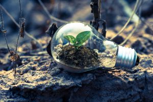 5 Easy Ways to ‘Green’ Your Small Business